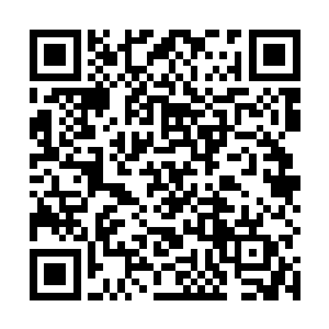 树林深处传来一阵急促的身体和枝叶藤曼摩擦的簌簌声二维码生成