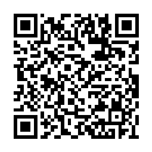 树荫下的鬼魂看不懂我走到那打手面前想做什么二维码生成