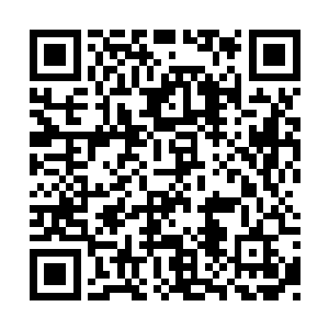 栖梧真人的上司带着栖梧真人亲自来正气门谈判二维码生成