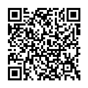 栖霞战局表现出一种比唐劫在时还要稳定的局面二维码生成
