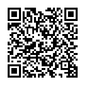 栖霞界内的修者如今早已形成以洗月派为首的修者整体二维码生成
