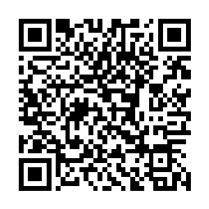 校花之前是不清楚林烽的真面目……现在看清楚了他的为人二维码生成