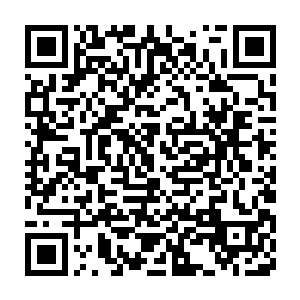 校长也被施压要开除了……所以现在唯一的办法就是请大家在上面签名二维码生成