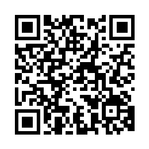 校门口怎么来了那么多只流浪犬啊二维码生成
