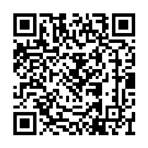 校门口等着的几人只有几名是海城大学里的学生二维码生成