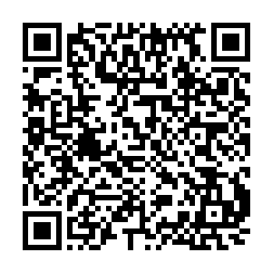 样子十分的恐怖齐天麟的爪子抓到上面的时候顿时发出一声金铁交鸣的声音二维码生成