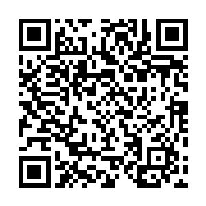 根据之前你们签订的免责声明我们也是不用付责任的……二维码生成