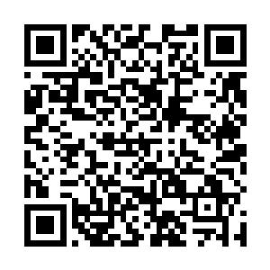 根据九风统辖下的鸟军和他与游商们收集到的消息来看二维码生成