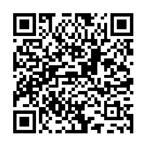 根据学徒的才能选择最适合的法术类型和魔法类型二维码生成