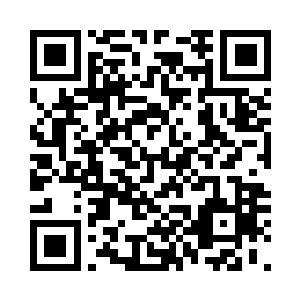 根据德国工程师的建议开始建设厂区二维码生成