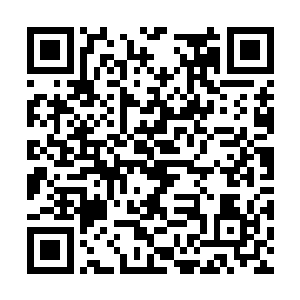根据我的经验……她有可能已经发动了某种类似于二维码生成