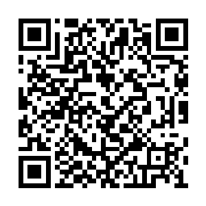 根据白天看到的那辆车的车牌快速查起那个男人二维码生成