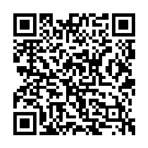 根据自身体质而领悟出的类似领域的一种结界么二维码生成