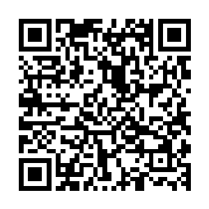 根据麦星的说法这贝斯克利火山传闻是当初魔界之门崩塌过后二维码生成