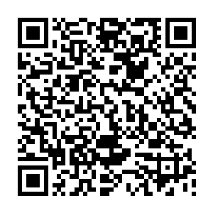 根本不会有人会相信自己和二牛黑狗这么屁大一点的孩子会去偷窥赵寡妇洗澡的二维码生成