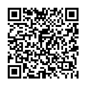 根本不可能在医疗器具的辅助下坐着轮椅一个人抵达酒店二维码生成