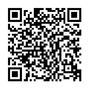 根本不可能撼动秦方……只能以这样悲剧的方式落幕了二维码生成