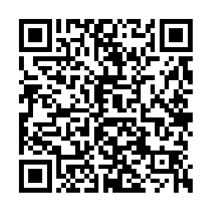 根本不是一个与之前所见的那般杀戮邪肆的少女二维码生成