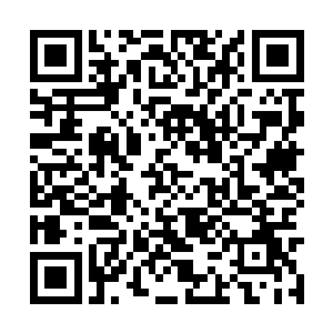 根本不是玩火的……这里它连土都不怎么玩得起来二维码生成