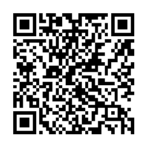 根本不是这些血肉可以抵挡的……连被罡气护罩保护的内丹二维码生成