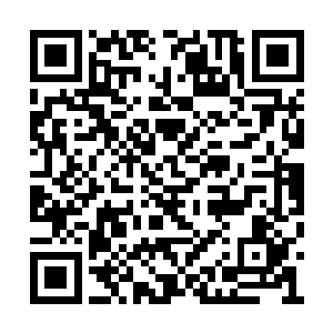 根本不知道世上果真会有传说中的修真者的存在二维码生成