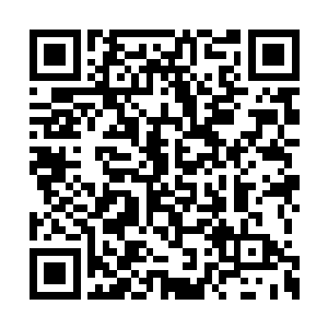 根本不知道这水是朱氏吩咐人送来给连二爷用的二维码生成