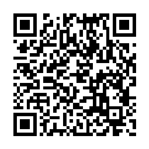 根本不等那攻击扑至杨开面前就被血湖吸收殆尽二维码生成