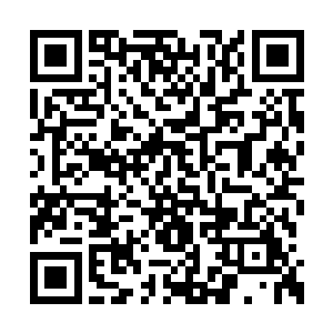 根本不足以发展出超卓的智能和复杂的社会形态二维码生成