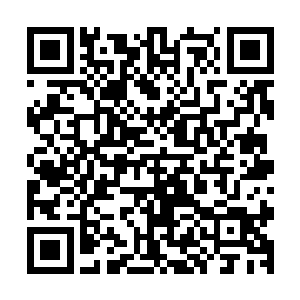 根本不需要让自己过那种苦行僧的日子的条件的仙人会选择的二维码生成