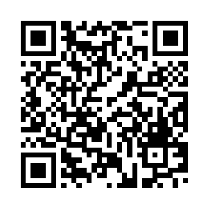 根本分辨不出哪一个才是真的攻击二维码生成