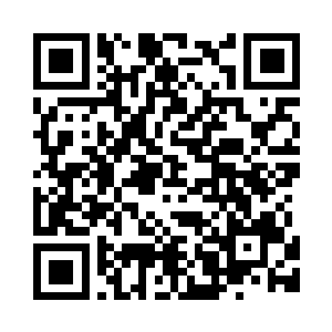 根本就不会给蚊子动用银针的机会二维码生成