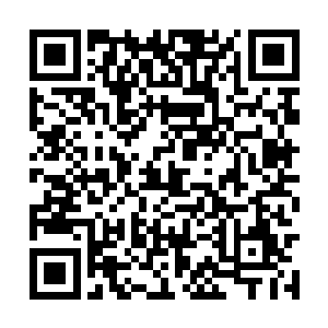 根本就不值得有人派出这样的死士杀手来要他的命二维码生成