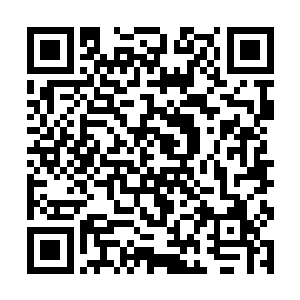 根本就不可能有人能够探听到他这间洞府的任何动静二维码生成