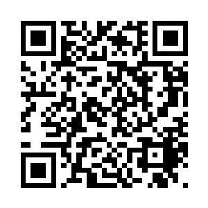 根本就不存在把他们偷偷放掉的可能二维码生成