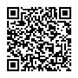 根本就不是他一个小小的晋元地府判官所能够反抗的二维码生成