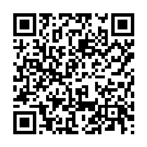 根本就不是可以靠一点点的肉体强度就可以弥补的二维码生成
