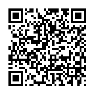 根本就不相信夏天是中了东方云的圈套才不能动的二维码生成