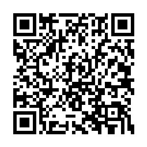 根本就不知道建委系统为啥能拿下公安局的工程二维码生成