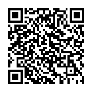 根本就无法觉察到这里居然隐匿者这么多的人族高手二维码生成