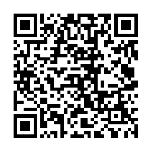 根本就是故意将自己身上有宝贝的事情传扬出去的二维码生成