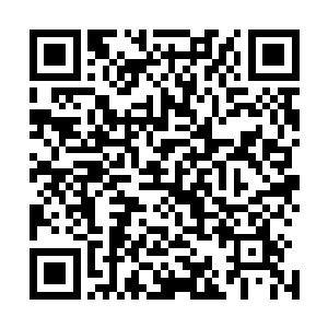 根本就没发现有两个活人和一个昏迷的半死人已经进了府里二维码生成