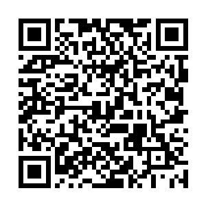 根本就没把这个女孩的心思从她绘画事业上拉出来……二维码生成