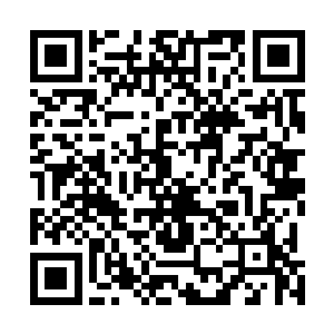 根本就没有之前的时候斩杀荒兽和凶灵的时候得到了能量二维码生成