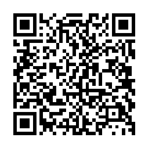 根本就没有人知道这两个人就是二十年前扫平大漠的梅竹双剑二维码生成