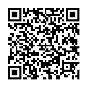 根本就没有任何修士或者妖兽敢于接近那通天神柱二维码生成