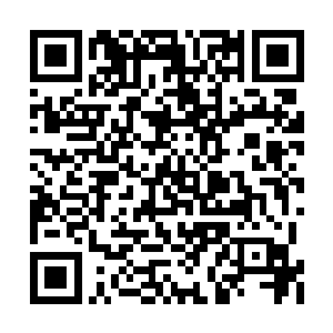 根本就没有办法接受日服一日的恐怖袭击受害者二维码生成