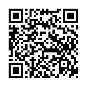 根本就没有去想那只火云兽究竟是什么实力二维码生成