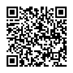 根本就没有实质性的说出君诚集团资金的问题出在哪里二维码生成