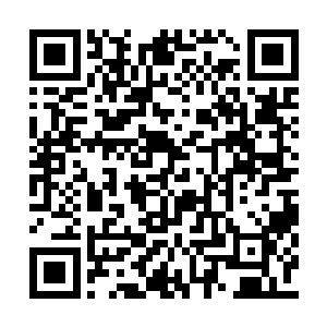 根本就没有想过用豪华的居住环境来讨好参赛者二维码生成