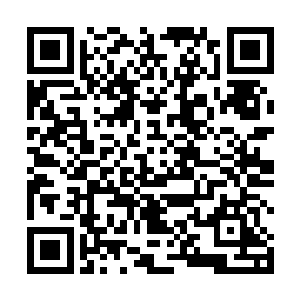 根本就闹不懂这个家伙的脑袋里面究竟都想了一些什么二维码生成